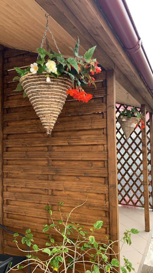 Casa Bucurr Hotel Afumati Ngoại thất bức ảnh